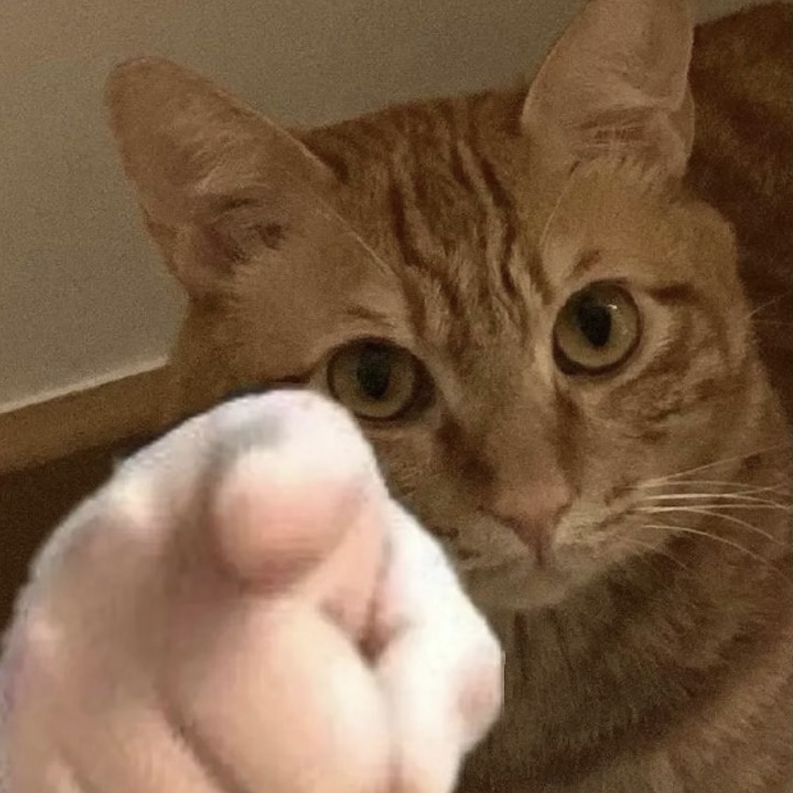 heihei